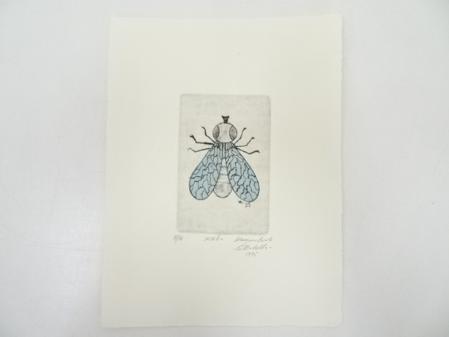 Hobbies & Collectibles